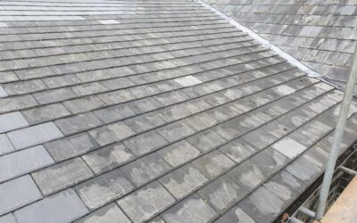 Why Choose May Roofing for Your Next Project?