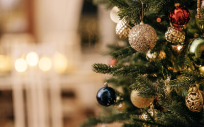 Merry Christmas from May Roofing!